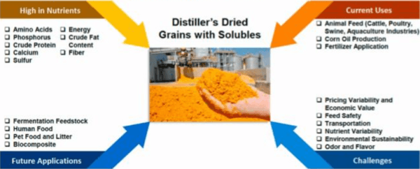 Methods and Implications for DDGS Production - Image 1