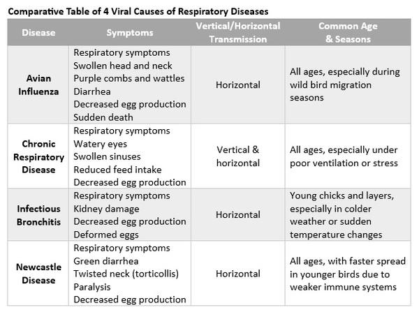 Poultry Respiratory Diseases: Symptoms, Treatment, and Prevention - Image 1