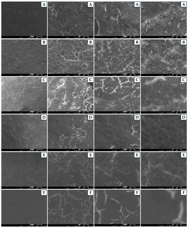 Figure 3. Scanning electron microscopy photographs of eggshells after different sanitization processes. ((A) non-sanitized eggs—NE): high degree of integrity and minimal degradation. ((B) grain alcohol— GA): low degree of integrity, severe degradation, and evident structural failure. ((C) formaldehyde— FA): critical degree of integrity, severe degradation, and risk of structural failure. ((D) Citrus aurantifolia essential oil—CAEO): reduced degree of integrity, significant cracks, and irregular texture. ((E) Ocimum basilicum essential oil—OBEO): moderate degree of integrity and some cracks and particles. ((F) Allium sativum essential oil—ASEO): highly reduced degree of integrity, many cracks, and many particles.