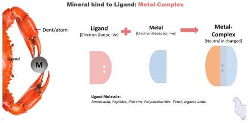 An Overview of Various Types of Organic Trace Minerals in Poultry Nutrition - Image 2