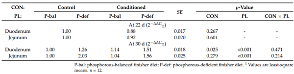 Table 7. Effects of phosphorus nutritional conditioning (CON) and phosphorous level during the finisher phase (PL) on the Type IIb Sodium Phosphate Cotransporter (SLC34A2) gene expression in duodenum and jejunum of broiler chickens individually allocated in cages at 22 and 30 d 1 .