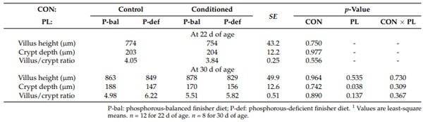 Table 8. Effects of phosphorus nutritional conditioning (CON) and phosphorous level during the finisher phase (PL) on the mid-jejunum morphometry of broiler chickens individually allocated in cage 1 .