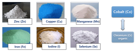 ORGANIC TRACE MINERAL SOURCES: