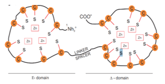 Unlocking the Secrets of Bioavailability and Utilization of Minerals in Farm Animals - Image 6