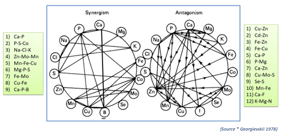 Unlocking the Secrets of Bioavailability and Utilization of Minerals in Farm Animals - Image 2