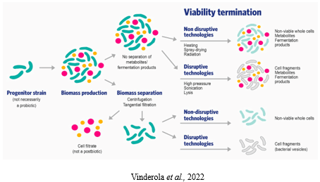  Proposed technological paths for the preparation of inanimate cultures composed of whole cells or their fragments, with and without metabolites or fermentation products