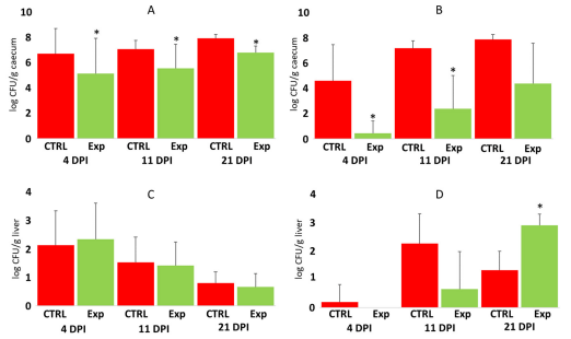 Figure 3. Salmonella counts in the caecum and liver of control and probiotic-treated chickens. Panel (A)—Salmonella counts in the caecum of orally challenged chickens. Panel (B)—Salmonella counts in the caecum of chickens in contact with the orally challenged seeder chickens. Panel (C)—Salmonella counts in the liver of orally challenged chickens. Panel (D)—Salmonella counts in the liver of chickens in contact with seeder chickens. Red columns—Salmonella counts in control chickens; green columns— Salmonella counts in experimental chickens treated with probiotic mixtures on day 1 of their life. DPI, days post-infection. *—p < 0.05 to appropriate control group. For control chicks, n = 120 at 4 DPI, n = 36 at 11 DPI, and n = 10 at 21 DPI. For infected chicks in panels (A,C), n = 160 at 4 DPI, n = 40 at 11 DPI, and n = 6 at 21 DPI. For contact chicks in panels (B,D), n = 39 at 4 DPI, n = 20 at 11 DPI, and n = 5 at 21 DPI.