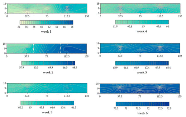 Figure 5. Kriging maps for the relative air humidity (RH, %) throughout the shed in the six weeks of rearing.