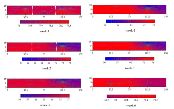 Figure 8. Kriging maps for the temperature and humidity index (THI) throughout the shed in the six weeks of rearing.