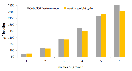 Figure 16. Weekly weight gain in relation to the performance capability of the Cobb500TM lineage [71].