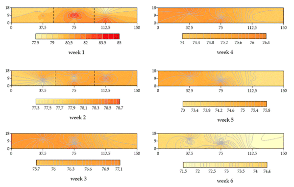 Figure 11. Kriging maps for the black globe humidity index (BGHI) throughout the shed in the six weeks of rearing.