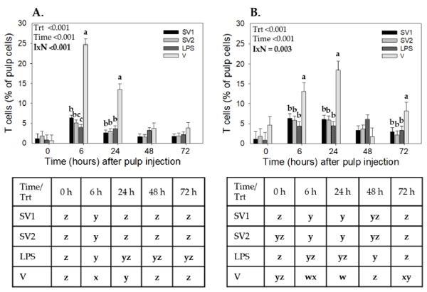 Figure 1. T cell infiltration profiles in response to injection of autogenous Salmonella-killed vaccines (SV1 and SV2), S. Enteritidis lipopolysaccharide (SE-LPS), or vehicle into the pulp of growing feathers.