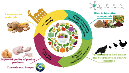 Figure 1. Overview of potential valorisation of co-/by-products and agro-food industry waste in poultry to achieve Zero Hunger.