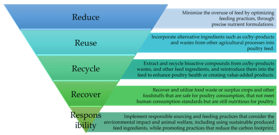 Figure 2. The principle of the 5 R’s for alternative sustainable poultry production system.