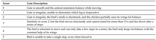 Table 4. Gate scoring scale.
