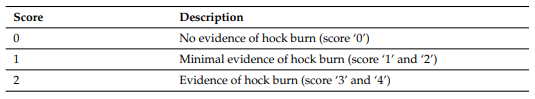 Table 5. Hock burn scoring scale.