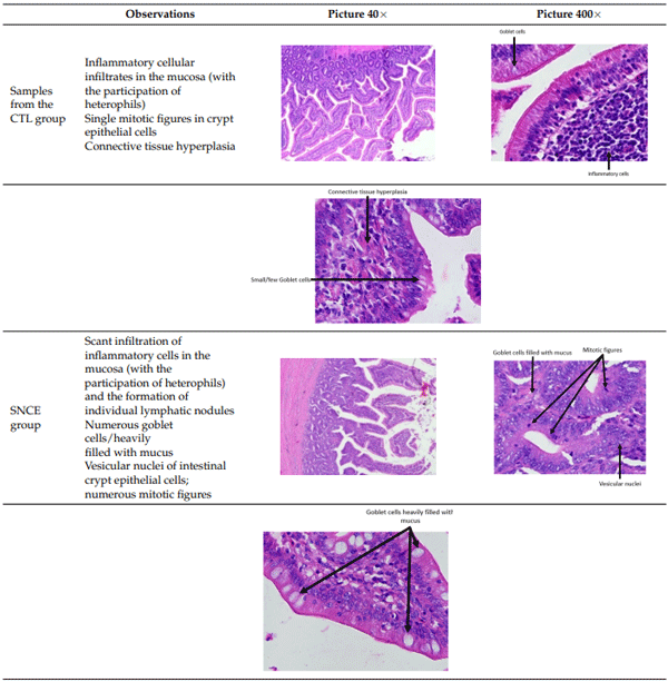 Table 9. Histopathological observation of jejunum from CTL and SNCE group.