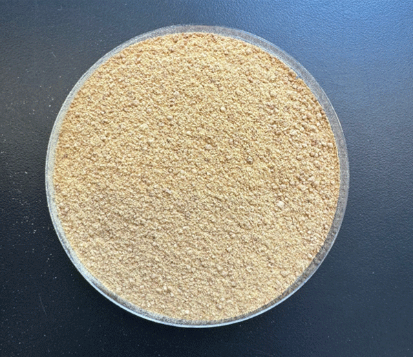 Figure 8. Corn fermented protein product (> 60% crude protein) which is produced using the FluidQuip approach (photo by K. A. Rosentrater).