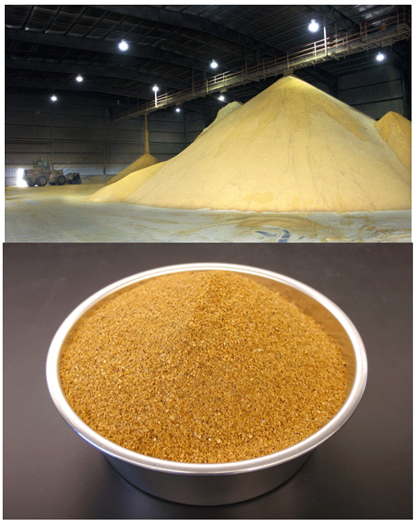 Figure 5. Distillers dried grains with solubles (DDGS) (photos by USDA (top) & K. A. Rosentrater (bottom)).