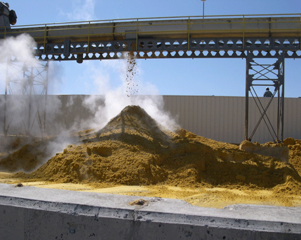 Figure 4. Distillers wet grains (DWG) (photo by K. A. Rosentrater).