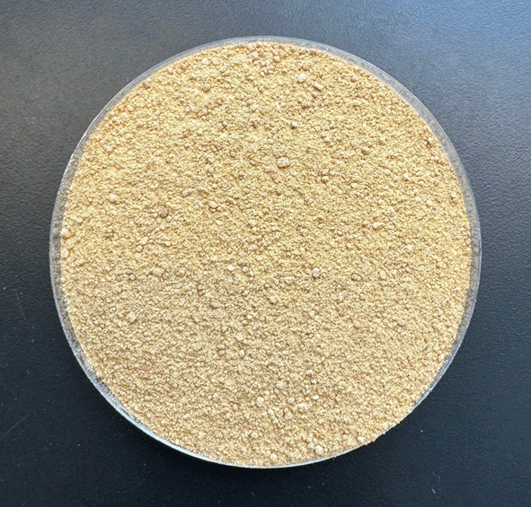 Figure 7. Corn fermented protein product (> 50% crude protein) which is produced using the FluidQuip approach (photo by K. A. Rosentrater).