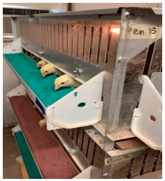 Figure 1. Battery cages with affixed feed troughs used to issue the experimental dietary treatments