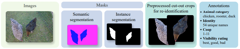 Towards Automated Chicken Monitoring: Dataset and Machine Learning Methods for Visual, Noninvasive Reidentification - Image 3