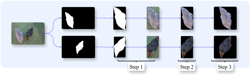 Towards Automated Chicken Monitoring: Dataset and Machine Learning Methods for Visual, Noninvasive Reidentification - Image 5
