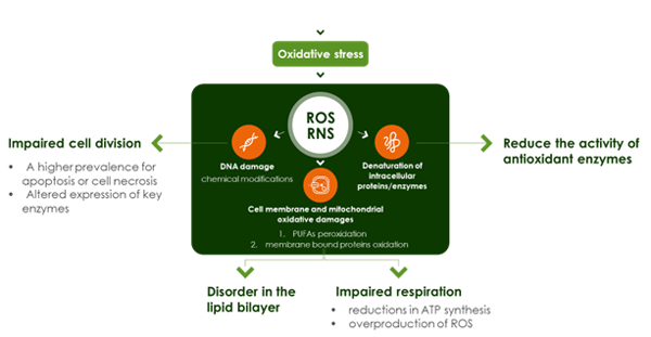 STRESS AND OXIDATIVE STRESS