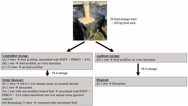Evaluation of Extended Storage of Swine Complete Feed for Inactivation of Viral Contamination and Effect on Nutritional, Microbiological, and Toxicological Profiles - Image 2