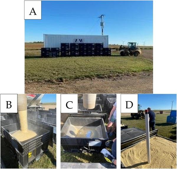 Evaluation of Extended Storage of Swine Complete Feed for Inactivation of Viral Contamination and Effect on Nutritional, Microbiological, and Toxicological Profiles - Image 3