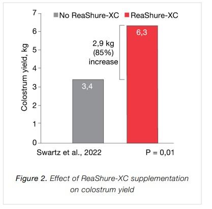 Boost Dairy Performance With Rumen-Protected Choline - Image 3