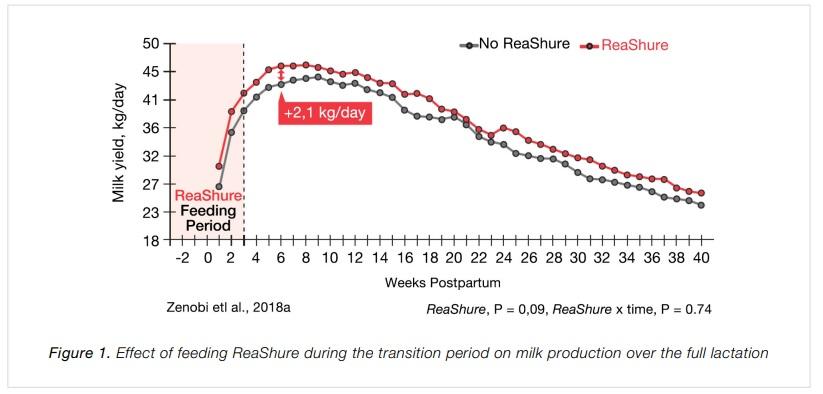 Boost Dairy Performance With Rumen-Protected Choline - Image 1