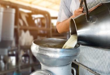 Why Feed Rumen-Protected Amino Acids? - Image 4