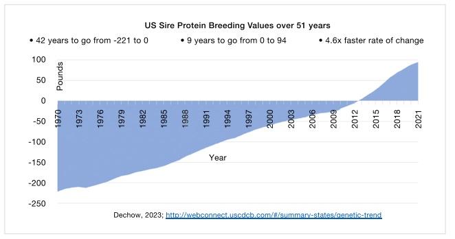 Why Feed Rumen-Protected Amino Acids? - Image 1