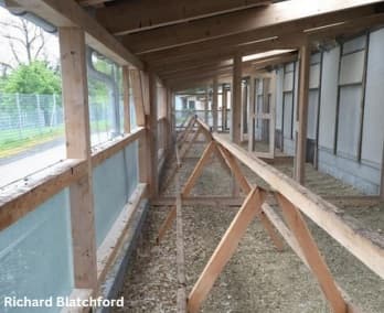 Alternative Housing for Laying Hens: Access to Outside - Image 2
