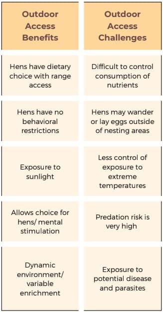 Alternative Housing for Laying Hens: Access to Outside - Image 15