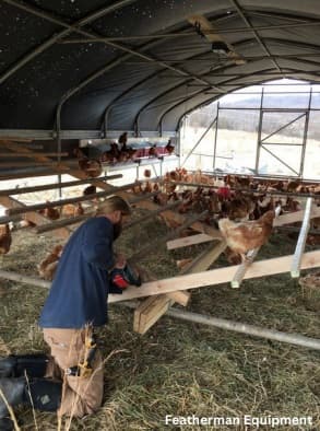 Alternative Housing for Laying Hens: Access to Outside - Image 5