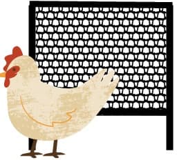 Effective Enrichments for Broiler Breeders - Image 2