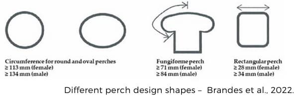 Effective Enrichments for Broiler Breeders - Image 1