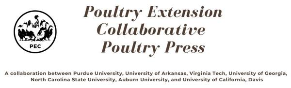 Pre-slaughter Welfare of Broilers - Image 1