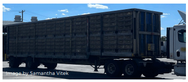 Pre-slaughter Welfare of Broilers - Image 3