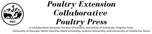 Gut Microbiome Influences Poultry Welfare - Image 1