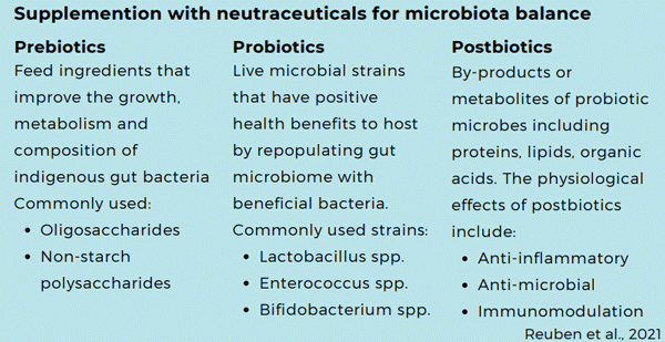 Practical strategies to improve gut health