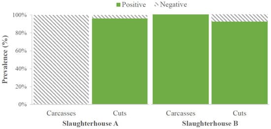 Occurrence, Antibiotic Resistance and Biofilm-Forming Ability of Listeria monocytogenes in Chicken Carcasses and Cuts - Image 3