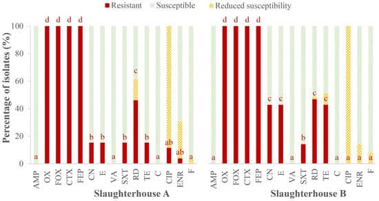 Occurrence, Antibiotic Resistance and Biofilm-Forming Ability of Listeria monocytogenes in Chicken Carcasses and Cuts - Image 5