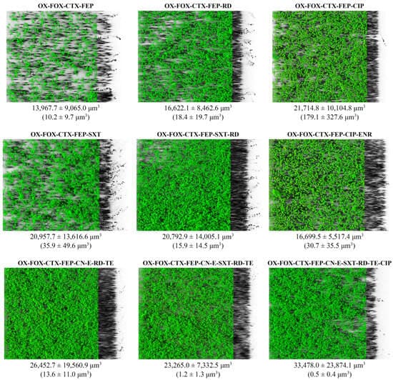 Occurrence, Antibiotic Resistance and Biofilm-Forming Ability of Listeria monocytogenes in Chicken Carcasses and Cuts - Image 7