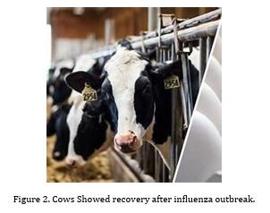 Lessons from the Avian Flu Outbreak in California Dairy Farms - Image 2