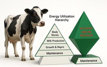 Lessons from the Avian Flu Outbreak in California Dairy Farms - Image 1