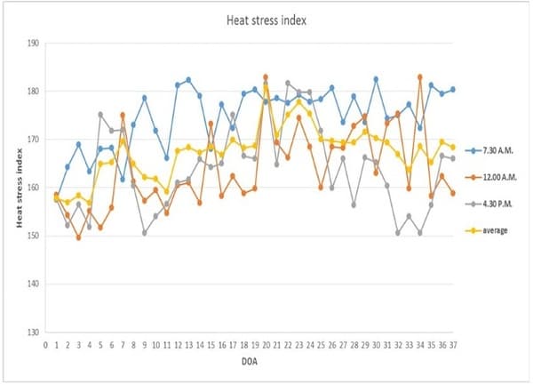 Flavonoids, Isoquinoline Alkaloids, and Their Combinations Affect Growth Performance, Inflammatory Status, and Gut Microbiome of Broilers Under High Stocking Density and Heat Stress - Image 4